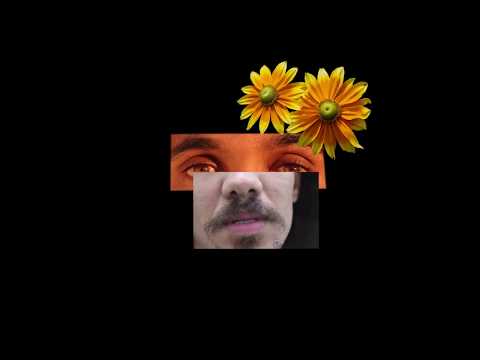 Victor Cali - A flor em meio ao fim