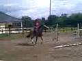 Mii On Monty De 1st Day I Got Him