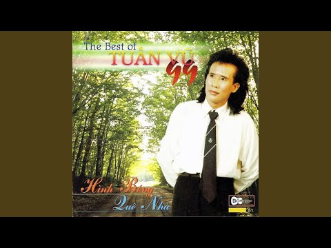 Xuân hồng trên má - Tuấn Vũ