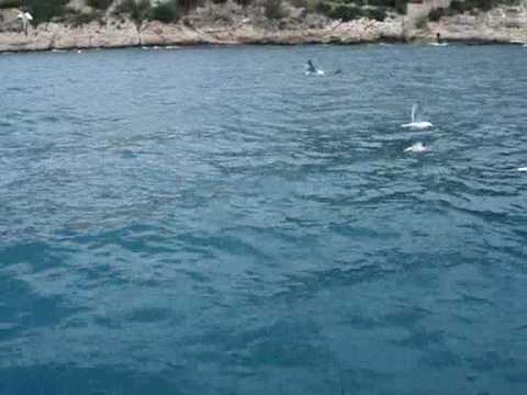 Andrew Edge - A Day Out in Denia, Spain