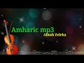 Abush Zeleke Top Amharic Music 04