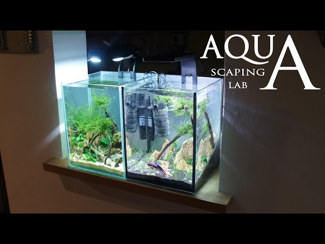 Aquascaping Lab - Tutorial Nano Cube Aquarium (size 20 x 20 x 25H 10L) Stone grass and wood style