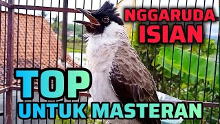 Download lagu KUTILANG GACOR FULL ISIAN NGGARUDA TOP UNTUK PANCINGAN & MASTERAN KUTILANG MALAS BUNYI mp3