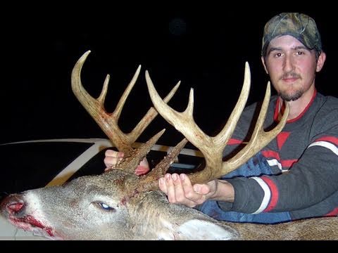 deer hunter tournament pc cheat codes