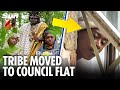 African Tribe Queen Handmaiden Put In Council Flat After Arrest Eviction From Scots Woods