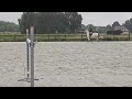 Jument d'exception en saut d'obstacles + excellent élev