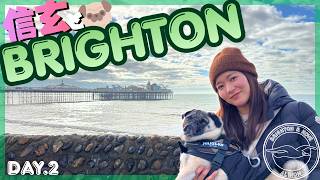 【ブライトンDay2】三笘薫選手で話題のお店へ!ドッグフレンドリーなBrightonを信玄と散策🐶
