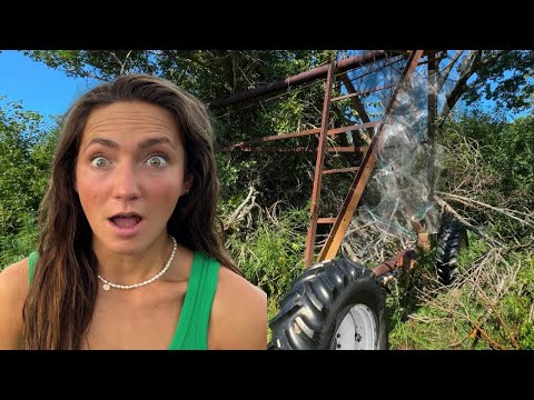 KECELAKAAN Di Tengah Ladang Jagung