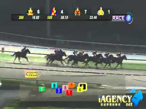 SINGAPORE RACE 15/11/2013 RACE 9 - iAgencyNet.com