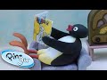 Crazy Day At Pingu S House Pingu Official Cartoons For Kids