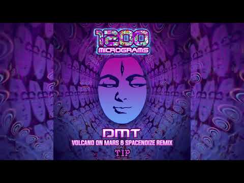 1200 Mics - DMT (SpaceNoize & Volcano On Mars Remix)