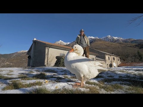 Il fascino della solitudine