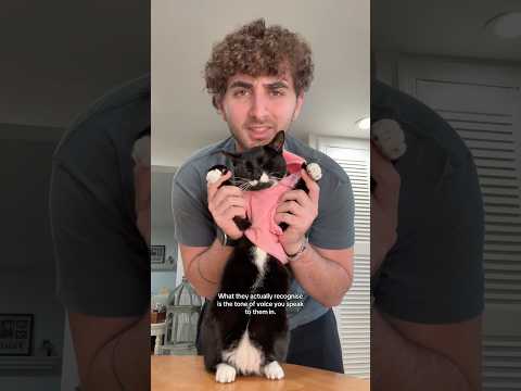 Please tell me this was an accident…