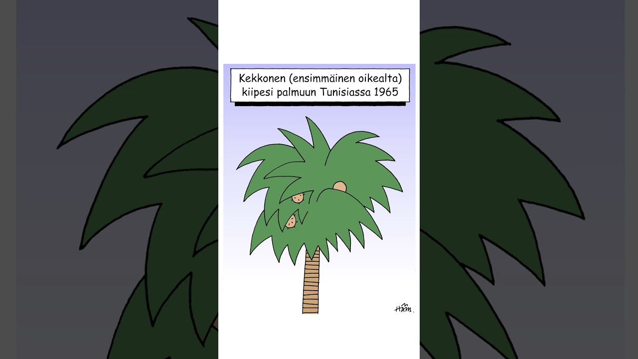 Häm. Pilapiirros - Kekkonen palmussa