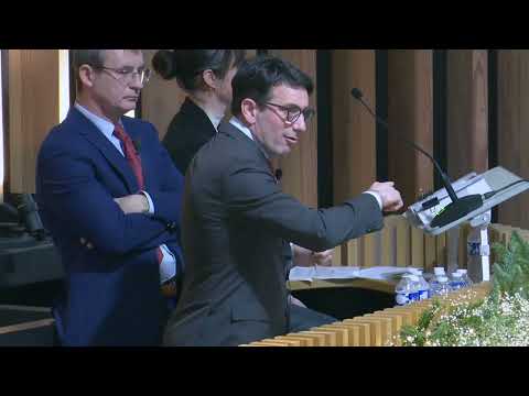 J1 - Top Price N°1 - 5.000.000E - SPARKLING PLENTY - Vente Arqana d'Elevage 2024