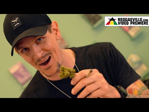 REKALL - Early Morning Session [Official Video 2024]