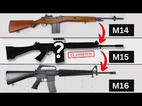 What Was the M15 Rifle and Why Did Everyone Forget It?