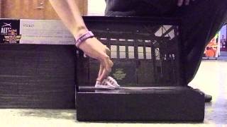 BC One finger breakin 吳紀穎