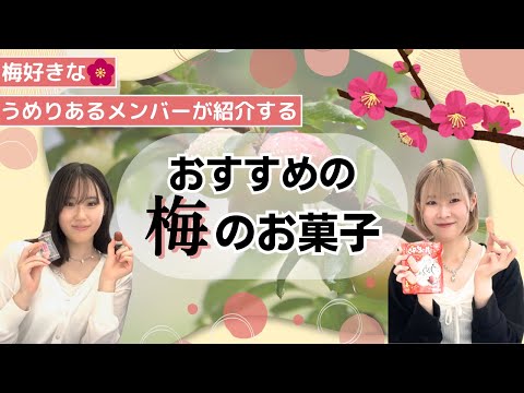 総合政策学科 うめ大好きな うめりあるメンバーによる梅のお菓子紹介！！