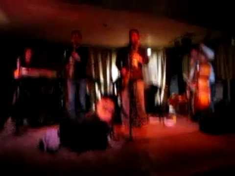 Blue Cranes - Broken Windmills