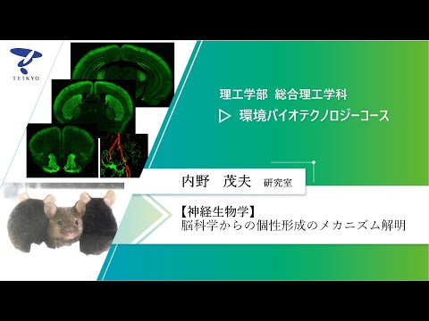 【研究室紹介】内野茂夫研究室（神経生物学）【理工学部 総合理工学科 環境バイオテクノロジーコース】