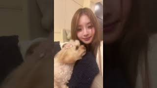 犬と部屋と美女❤️ #bijo #美女#可愛い #short #shorts #dog #room #美人好き