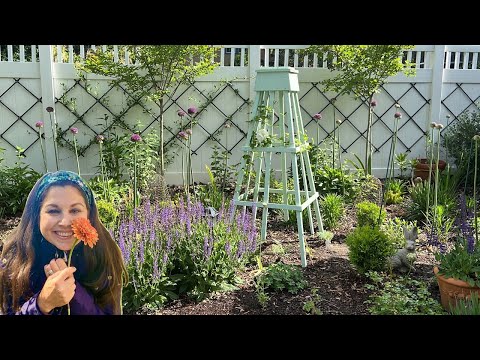 Spring Garden Tour 2024 // Best my garden has ever looked!