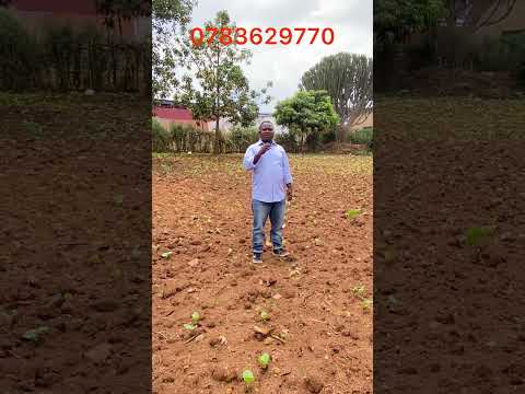 Ikibanza kiza kigurishwa Kicukiro miliyoni 100 #inzuigurishwa #property #inzuigurishwakigali