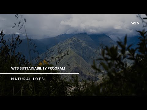 WTS Sustainability Program: Natural Dyes