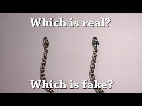 Fun Test: Which is real? Live Animal Drawing Challenge...