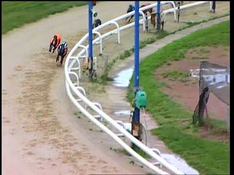 2017 WILLIAM HILL ST LEGER - HEAT 2 - T6 MURRYS ACT