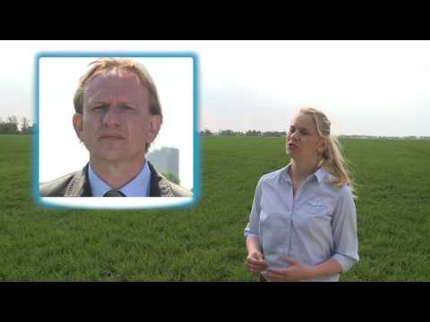 03. Kali - the rice grain to fuel Beauty