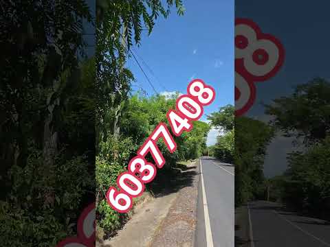 San Pablo Tacachico 60377408