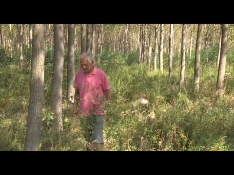 Boja meda ep. 30 02.10.2018. NAJAVA