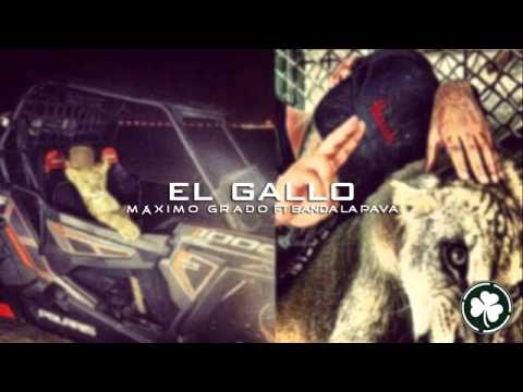 El gallo (maximo grado) FT banda la pava