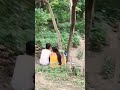Patna Zoo Me Romantic Park Romance Patna Park