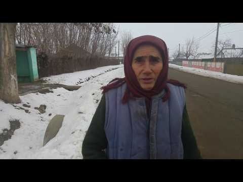 Ileana Carp, Goat Horns