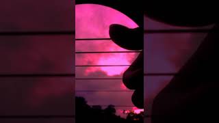 Download lagu bbibbi - IU (guitar fingerstyle cover) mp3