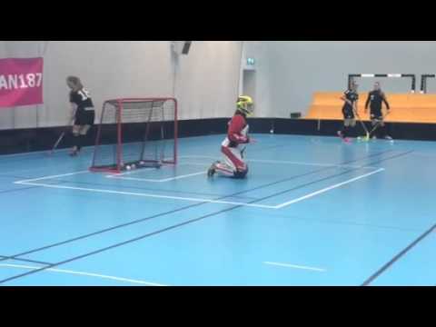 Målvaktscoach Täby FC f01 innebandy