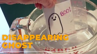 The Disappearing Ghost Experiment - Halloween Science Activity for Kids