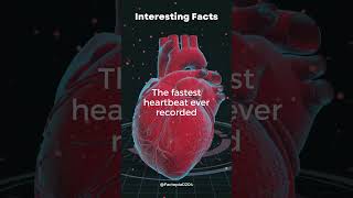 "Racing Heart: 600 Beats Per Minute World Record"