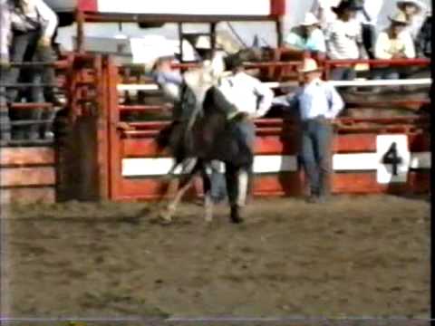 Daryl Mills Box Springs BB