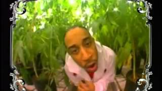 Ludacris - Blue Berry YUM YUM