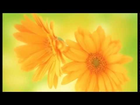 Poonilapakshi.....                                  Nilambur Karthikeyan & Ambili