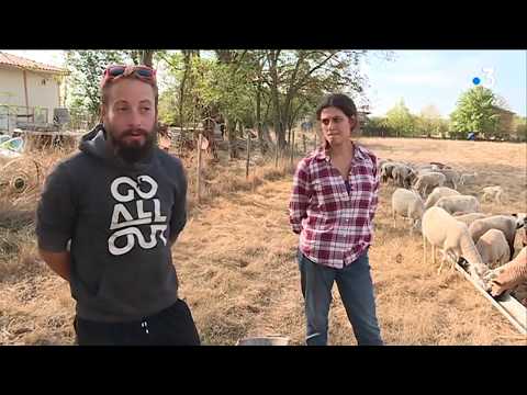 Fronton : le vin, une histoire de famille