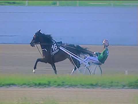 Trotto 04/06/2019 - 7ª corsa