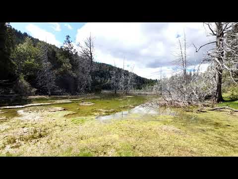 Laguna Verde Saturnino Mallin Ahogado El Bolson Rio Negro Patagônia Argentina Verano 2023