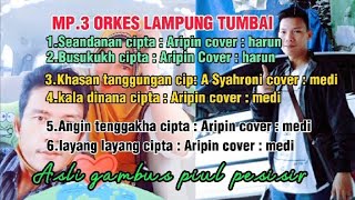 Download lagu MP3 kumpulan lagu Lampung tumbai orkes gambus piul tumbai khas pesisir mp3