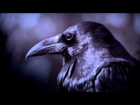 Ruben De Ronde - Noir (10dens Remix)