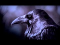 Ruben De Ronde - Noir (10dens Remix) 